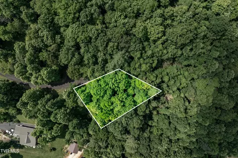 lot21 Lake Ridge Road Butler Tn 37640, Butler, TN 37640