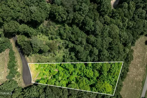 lot31 Lake Ridge Road Butler Tn 37640, Butler, TN 37640
