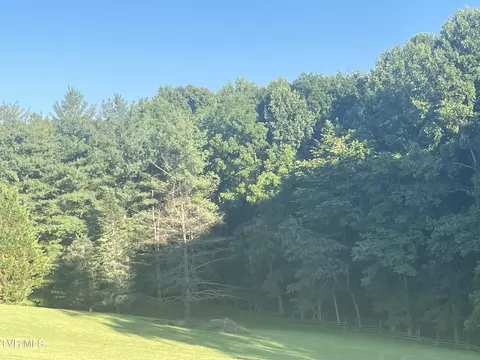 tbd Off Warriorcountry Acres Lane Elizabethton Tn 37643, Elizabethton, TN 37643
