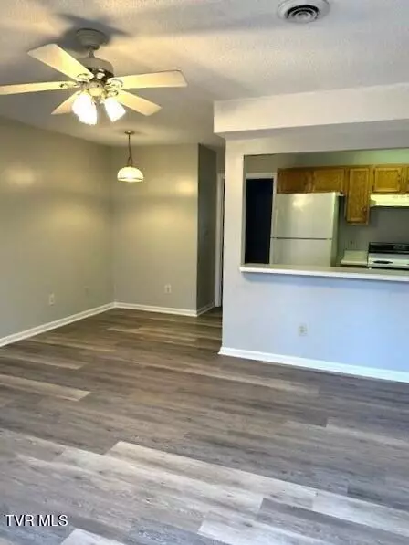 208 W Watauga Avenue B Johnson City Tn 37601, Johnson City, TN 37601 photo 4