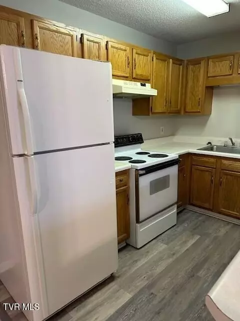 208 W Watauga Avenue B Johnson City Tn 37601, Johnson City, TN 37601 photo 9