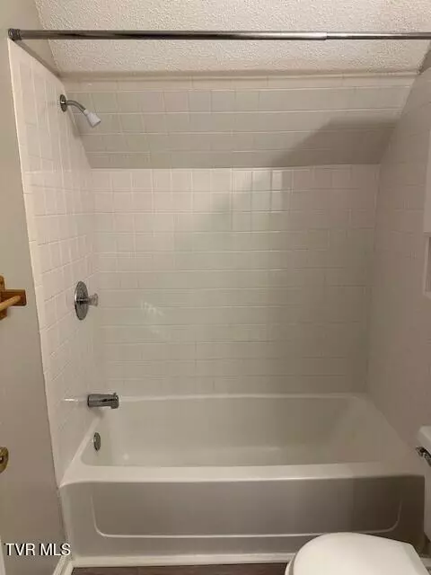 208 W Watauga Avenue B Johnson City Tn 37601, Johnson City, TN 37601 photo 36