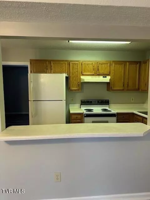 208 W Watauga Avenue B Johnson City Tn 37601, Johnson City, TN 37601 photo 12