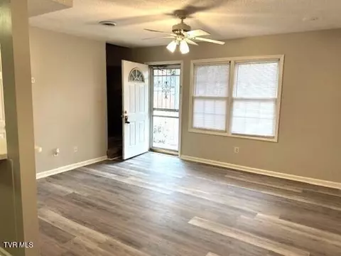 208 W Watauga Avenue B Johnson City Tn 37601, Johnson City, TN 37601 photo 7