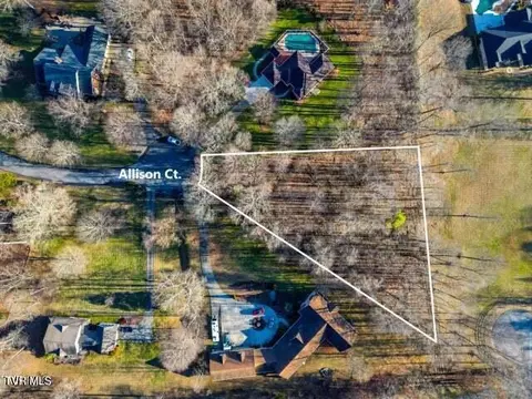 tbd Allison Court Piney Flats Tn 37686, Piney Flats, TN 37686