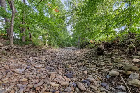 230 Fishpond Road Chuckey Tn 37641, Chuckey, TN 37641 photo 37
