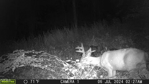 tbd Clinch Mountain Road Eidson Tn 37731, Eidson, TN 37731 photo 32