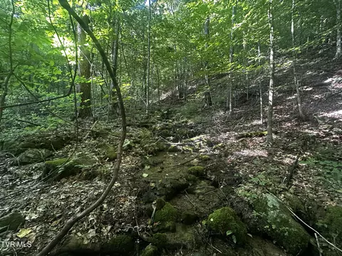 tbd Clinch Mountain Road Eidson Tn 37731, Eidson, TN 37731 photo 4