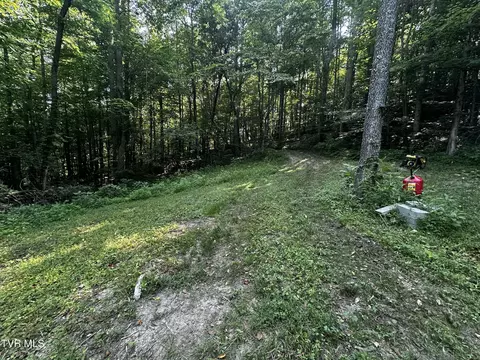 tbd Clinch Mountain Road Eidson Tn 37731, Eidson, TN 37731 photo 10