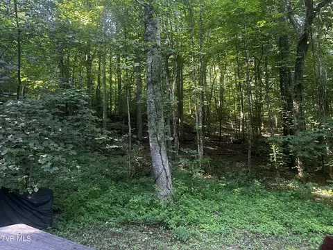tbd Clinch Mountain Road Eidson Tn 37731, Eidson, TN 37731 photo 6