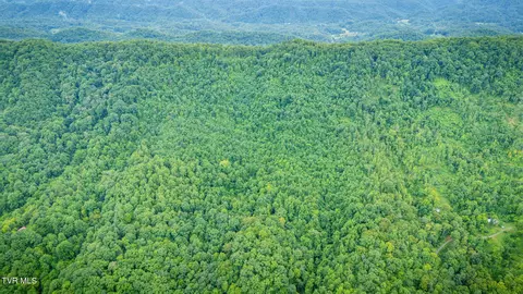 tbd Clinch Mountain Road Eidson Tn 37731, Eidson, TN 37731 photo 45