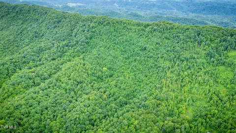 tbd Clinch Mountain Road Eidson Tn 37731, Eidson, TN 37731 photo 36