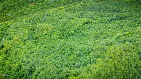 tbd Clinch Mountain Road Eidson Tn 37731, Eidson, TN 37731 photo 41
