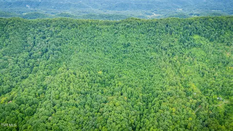 tbd Clinch Mountain Road Eidson Tn 37731, Eidson, TN 37731 photo 35