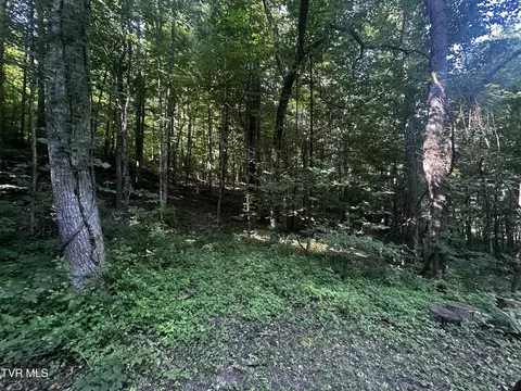 tbd Clinch Mountain Road Eidson Tn 37731, Eidson, TN 37731 photo 12