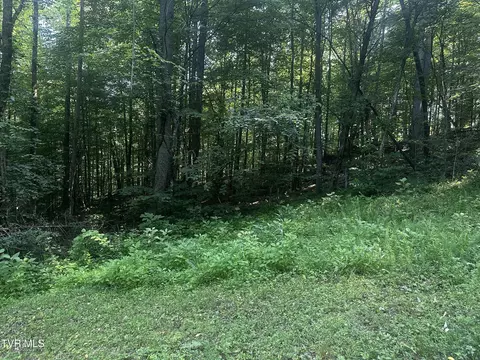 tbd Clinch Mountain Road Eidson Tn 37731, Eidson, TN 37731 photo 5