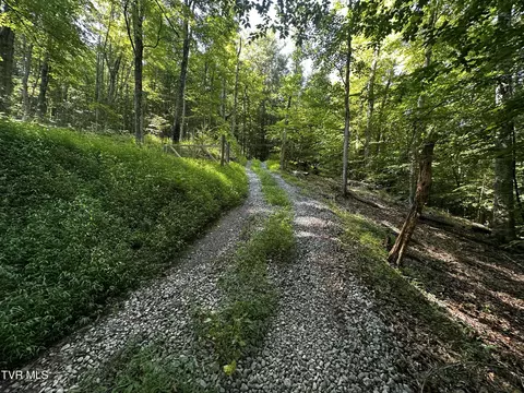 tbd Clinch Mountain Road Eidson Tn 37731, Eidson, TN 37731