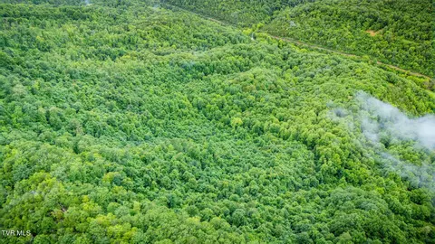 tbd Clinch Mountain Road Eidson Tn 37731, Eidson, TN 37731 photo 42
