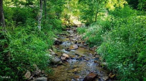Other - 175 Robert Rice Road Erwin Tn 37650, Erwin, TN 37650 photo 5 of 11