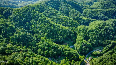 View/Area - 175 Robert Rice Road Erwin Tn 37650, Erwin, TN 37650 photo 3 of 5