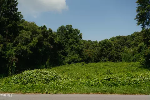 236 Rockhouse Road Johnson City Tn 37601, Johnson City, TN 37601