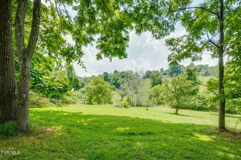 299 Dogwood Drive Fall Branch Tn 37656, Fall Branch, TN 37656 photo 29