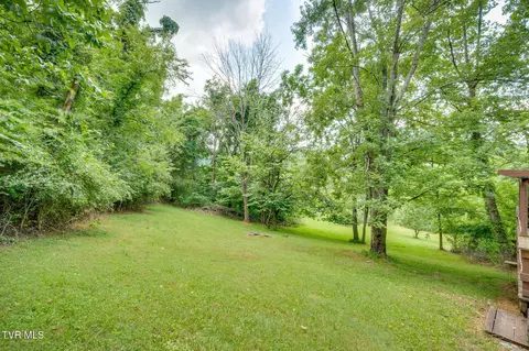 299 Dogwood Drive Fall Branch Tn 37656, Fall Branch, TN 37656 photo 28