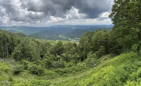 tbd Log Cabin Lane Roan Mountain Tn 37687, Roan Mountain, TN 37687