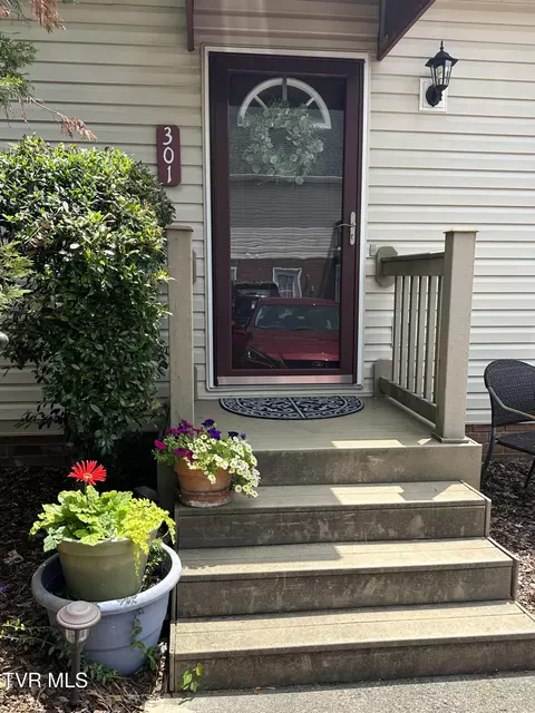 301 Hallbrook Drive 301 Johnson City Tn 37615, Johnson City, TN 37615