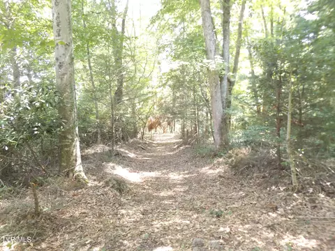 119 Gunsmoke Hollow Drive Elizabethton Tn 37643, Elizabethton, TN 37643