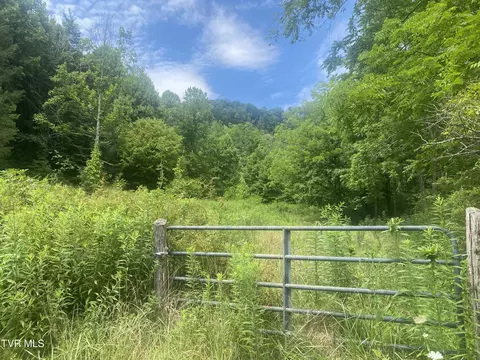 638 Old Hwy 143 Roan Mountain Tn 37687, Roan Mountain, TN 37687