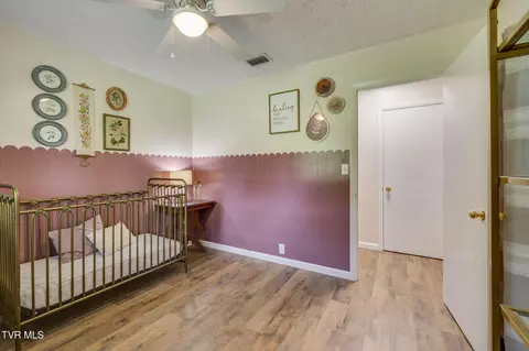 576 Buckingham Road Gray Tn 37615, Gray, TN 37615 photo 26