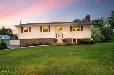 110 Wellington Court Gray Tn 37615, Gray, TN 37615