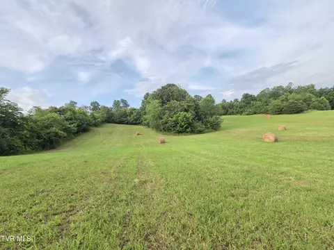 287 Mockingbird Place Jonesborough Tn 37659, Jonesborough, TN 37659