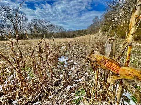 4045 S Mohawk Road Midway Tn 37809, Midway, TN 37809 photo 40