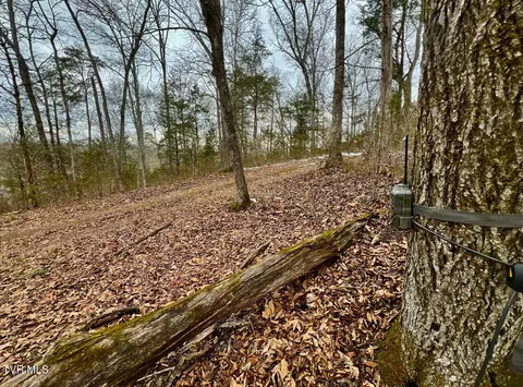 4045 S Mohawk Road Midway Tn 37809, Midway, TN 37809 photo 41
