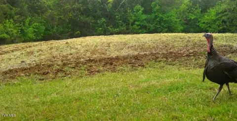 4045 S Mohawk Road Midway Tn 37809, Midway, TN 37809 photo 17
