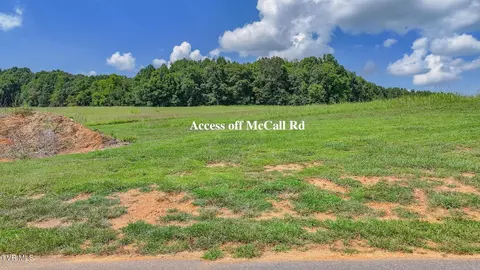 170 Mccall Road Limestone Tn 37681, Limestone, TN 37681 photo 5
