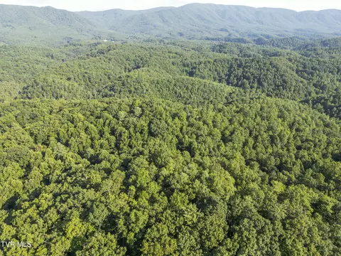 tbd Patty Branch Road Bristol Tn 37620, Bristol, TN 37620