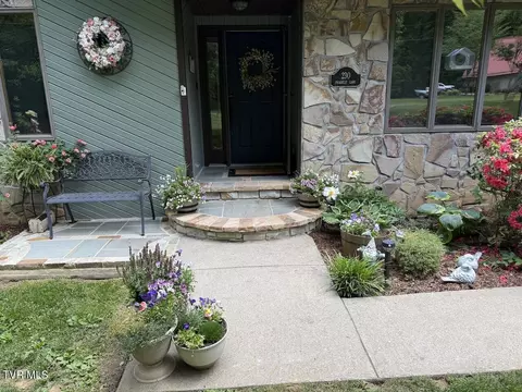 230 Picadilly Lane Gray Tn 37615, Gray, TN 37615 photo 6