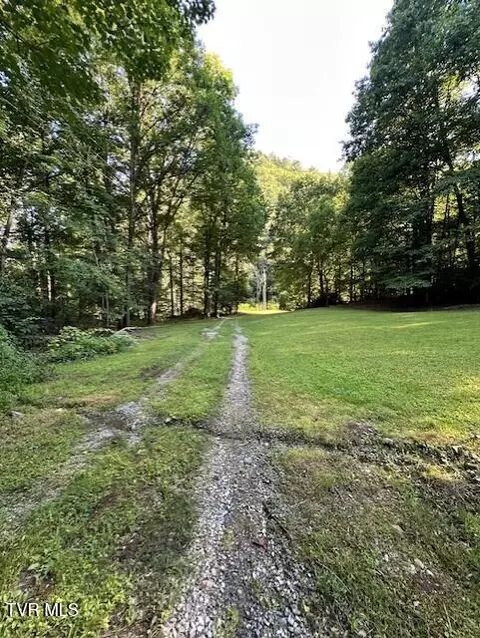 tbd Lower Higgins Cr Rd Road Erwin Tn 37650, Erwin, TN 37650 photo 6