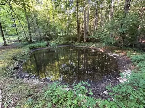 tbd Lower Higgins Cr Rd Road Erwin Tn 37650, Erwin, TN 37650 photo 5