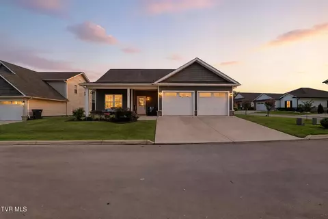 14 Palmetto Court Gray Tn 37615, Gray, TN 37615