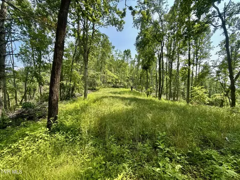 99 Ac Tbd Nw Of Copperhead Hollow Road Mountain City Tn 37683, Mountain City, TN 37683
