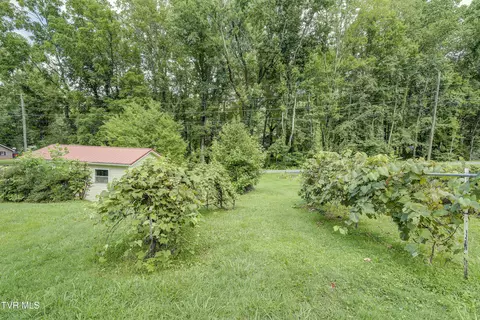 1390 Rock Creek Road Erwin Tn 37650, Erwin, TN 37650 photo 41