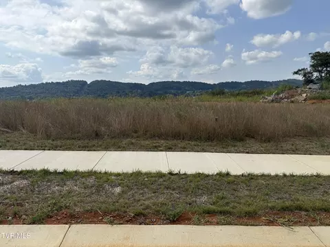 119 Glaze Farm Way Johnson City Tn 37601, Johnson City, TN 37601