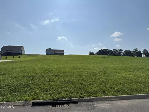 lot49 Uncle Buddys Way Jonesborough Tn 37659, Jonesborough, TN 37659
