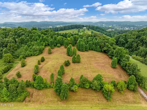 tbd Highway 11e Bluff City Tn 37618, Bluff City, TN 37618