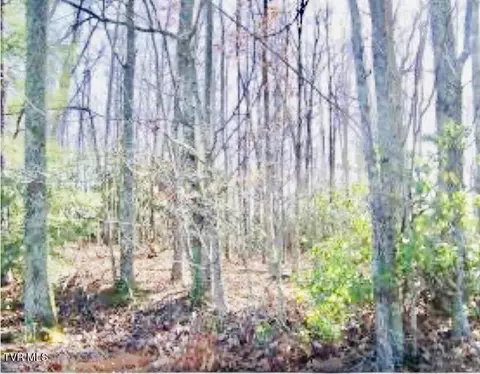 121 Pointe Drive Piney Flats Tn 37686, Piney Flats, TN 37686 photo 6