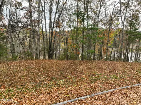 121 Pointe Drive Piney Flats Tn 37686, Piney Flats, TN 37686 photo 5